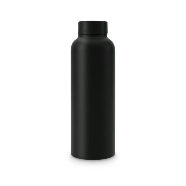 T2 Stainless Steel Flask Black